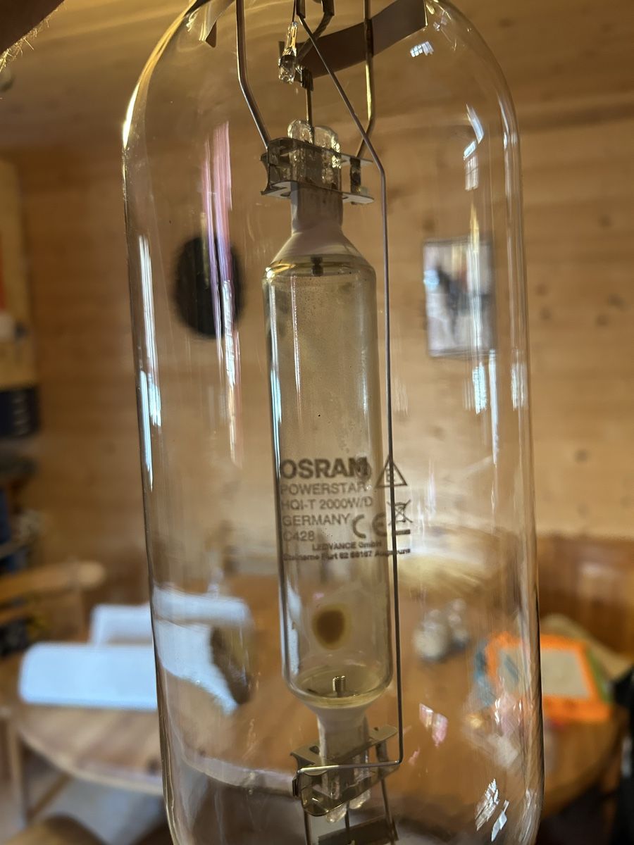 Osram Lampadari & plafoniere: Glühlampe OSRAM – Nuovo (secondo la descrizione) da Oey venduto da Wittwer08