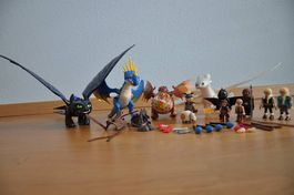 Playmobil "Drachenzähmen leicht gemacht"