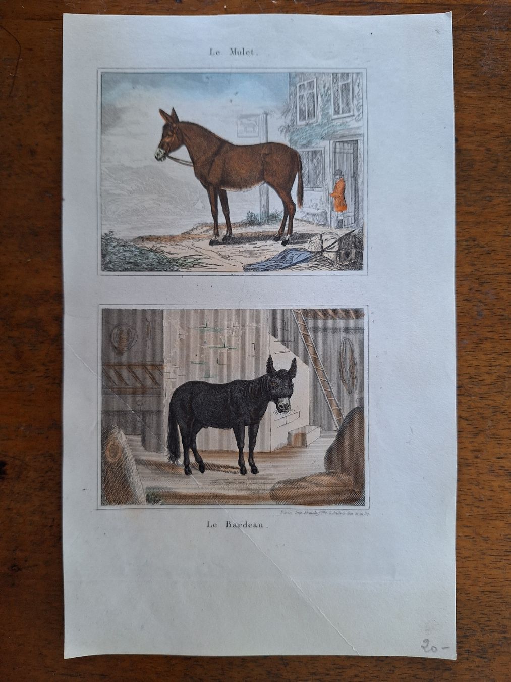 Incisioni: LE MULET ET LE BARDEAU – Usato da Bevaix venduto da bohrap 1