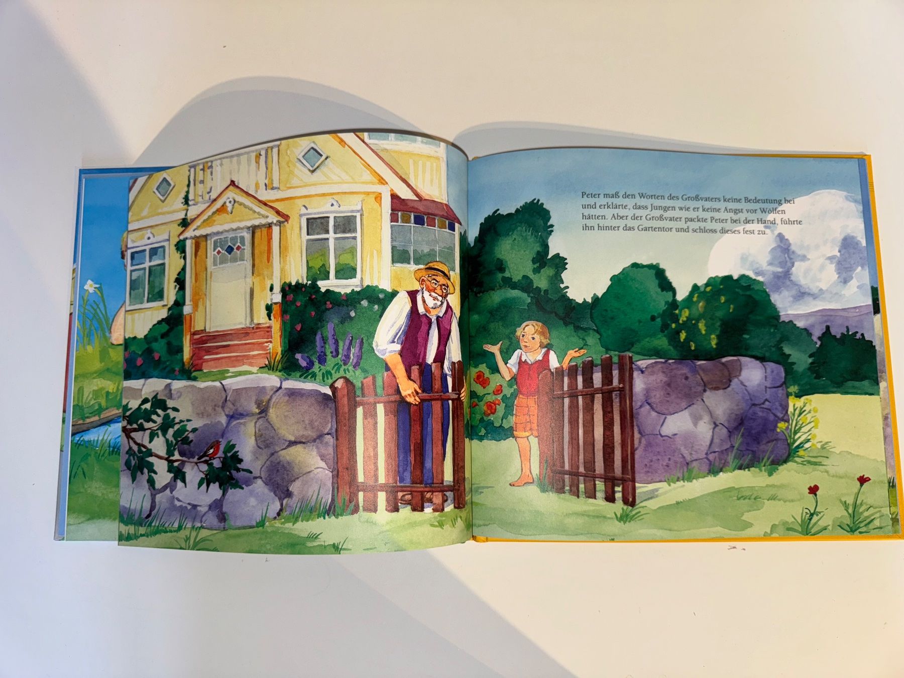 Libri: Buch: Peter und der Wolf – Usato da Grosswangen venduto da Second_hand_paradise 3