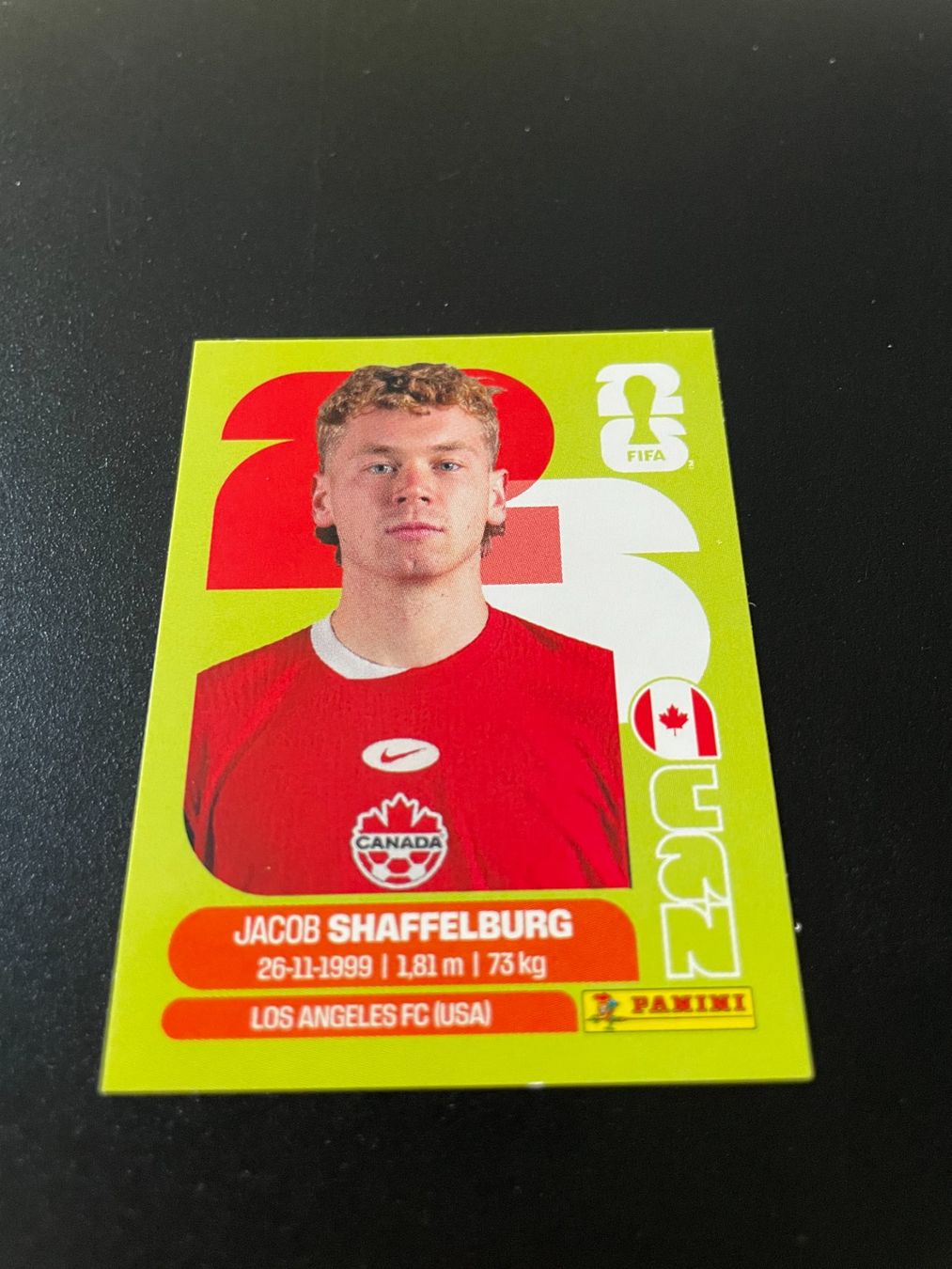 Panini Carte collezionabili: FIFA WM 2026 Sticker CAN 14 – Usato da Fahrwangen venduto da Venez