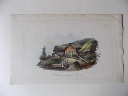 Chalet sur le Wengen-Alp Aquatinta