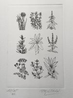 #11 - Gravure sur velin d'Arches signée G. Gallard 10/15 HC