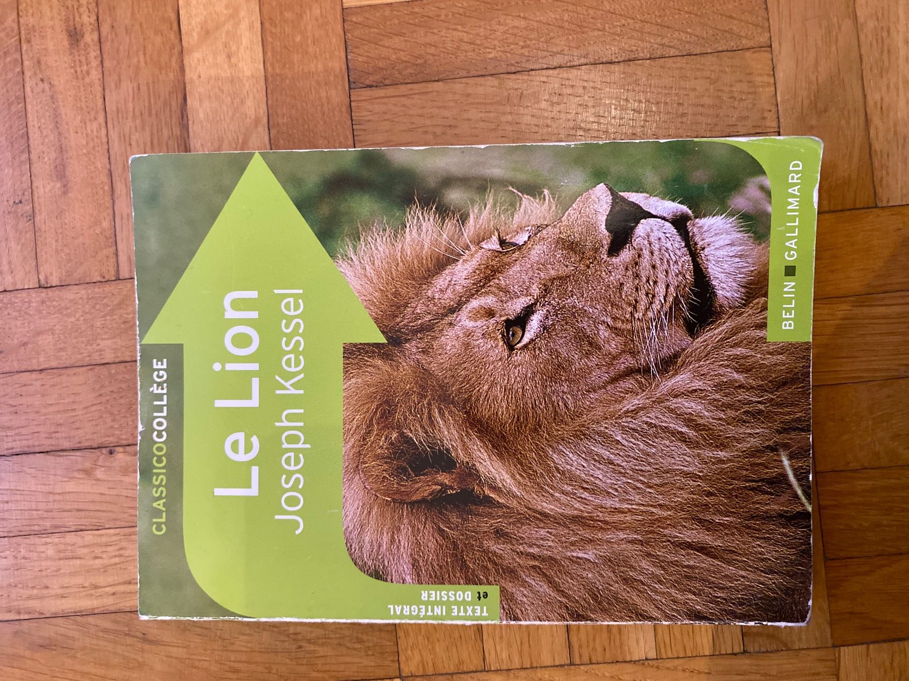 Libri: Le Lion- Joseph Kessel – Usato da La Tour-de-Peilz venduto da leu_hnf6