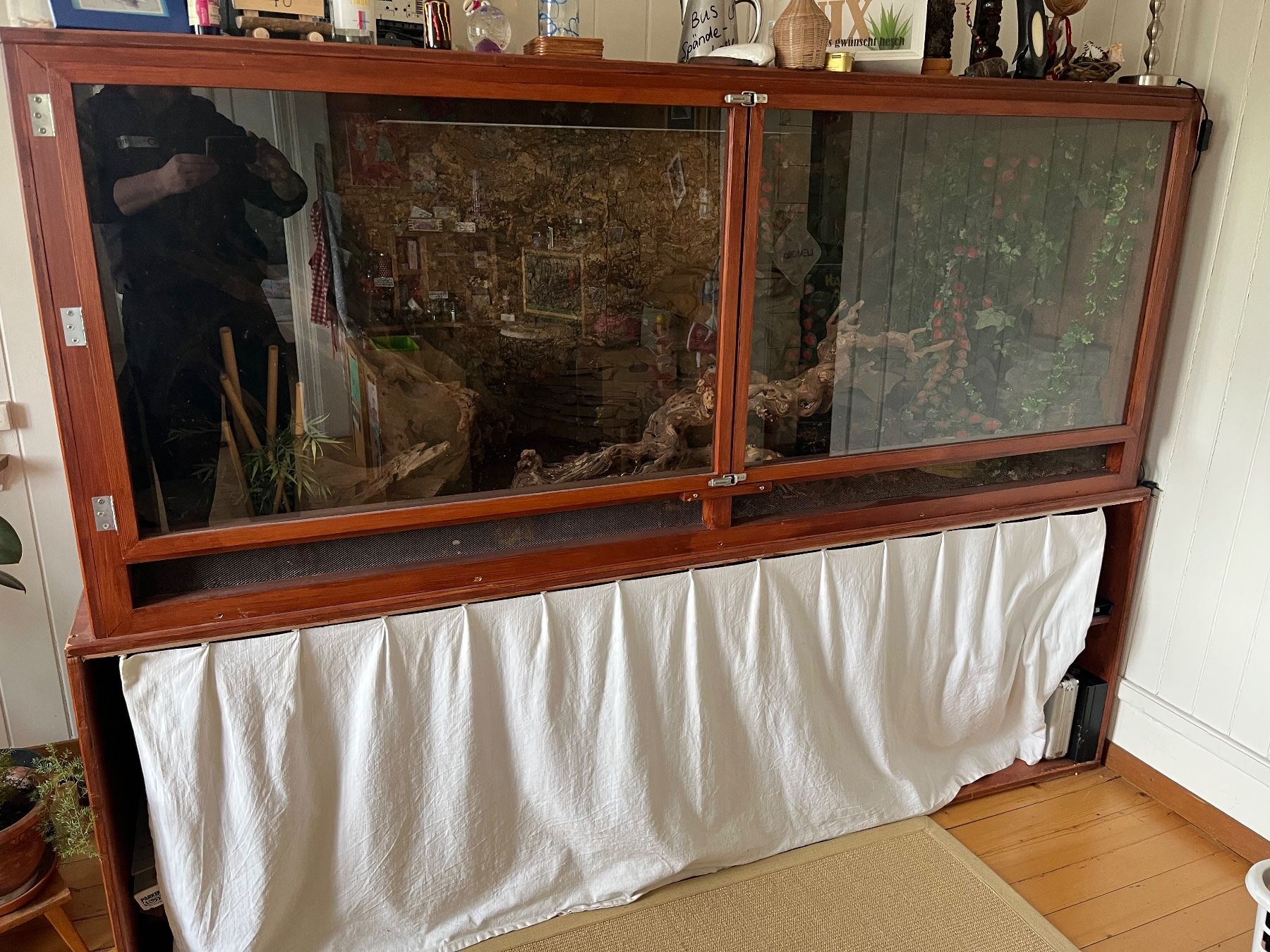 Terrario: Terrarium – Usato da Limpach venduto da Fscostar