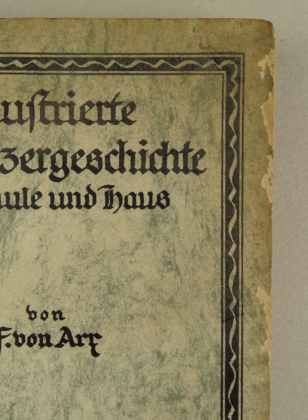 Libri: ILLUSTRIERTE SCHWEIZERGESCHICHTE, 1917, HOLZSTICHE – Usato da Grüningen venduto da Kartensammler 1