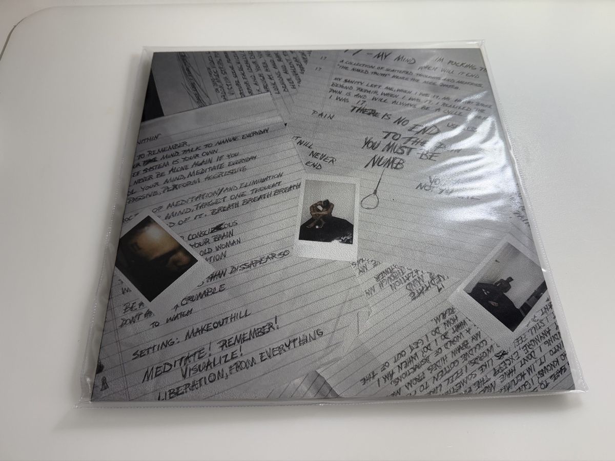Dischi in vinile: Vinyle XXXTentacion 17 – Nuovo (secondo la descrizione) da Rolle venduto da dan_2607