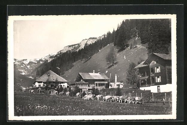 Cartoline postali: AK Lenk i. S., Ortspartie mit Ifigenalp – Usato da Berlin venduto da bartko-reher