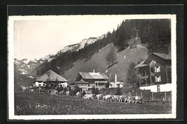 AK Lenk i. S., Ortspartie mit Ifigenalp