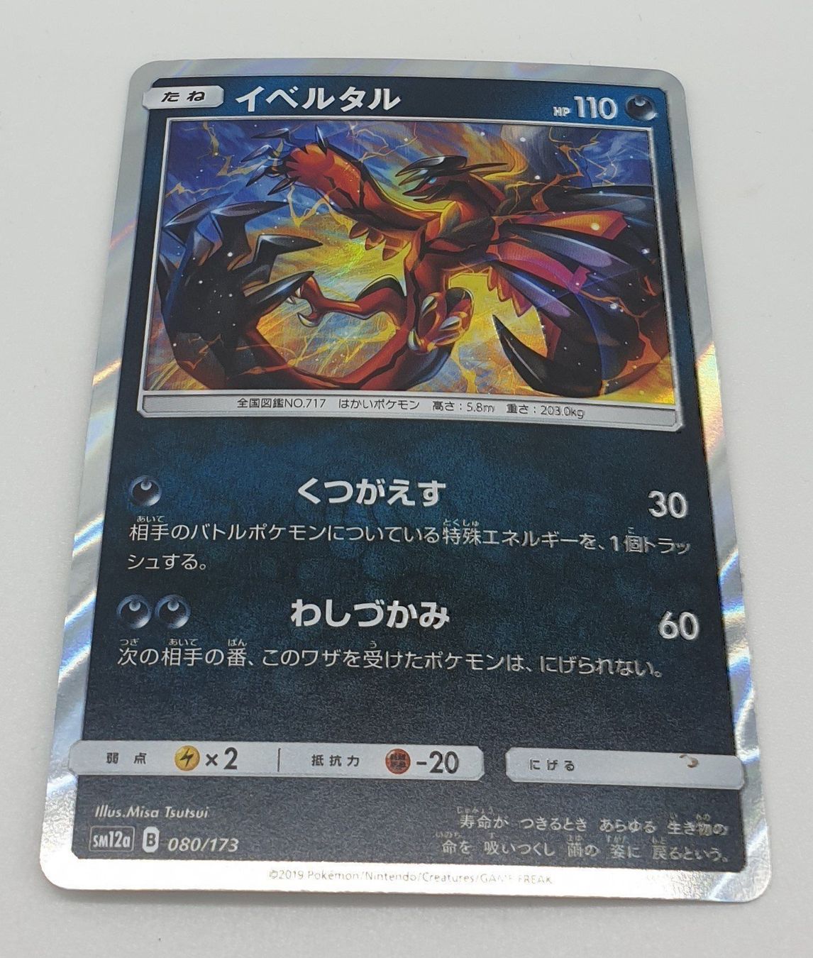 Pokémon Carte collezionabili: Yveltal Holo Japonaise – Usato da Genève venduto da Cardtreasure