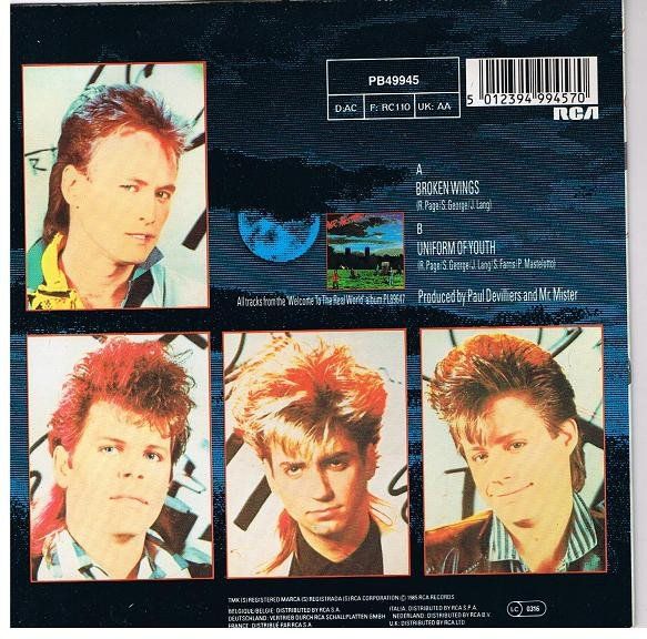 Dischi in vinile: Mr. Mister: Broken Wings 7" – Usato da Steinhausen venduto da Vilivinili 1