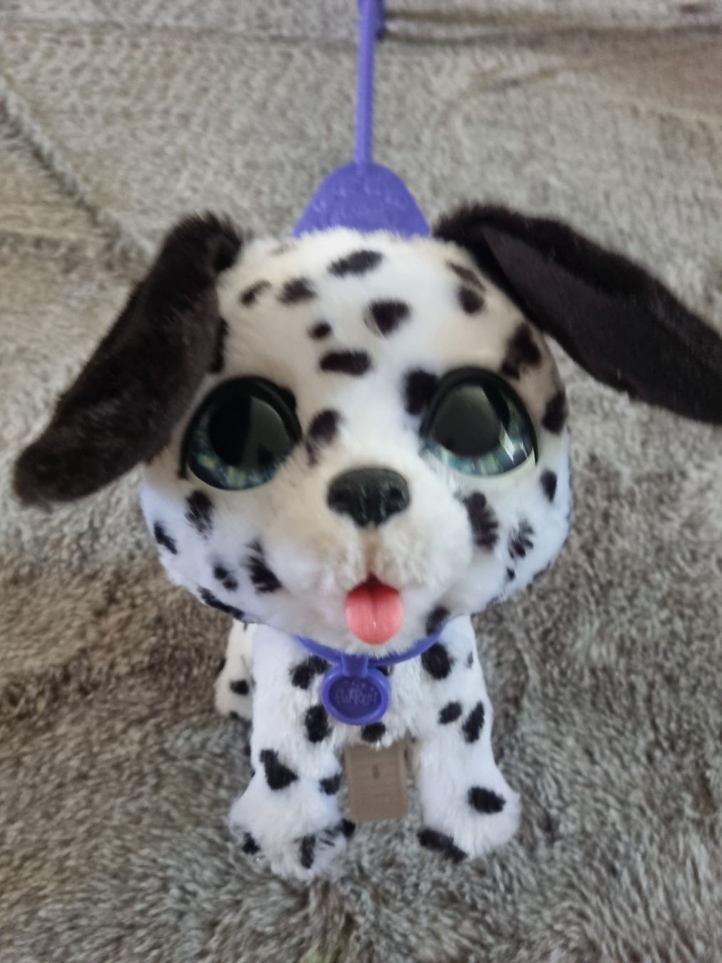 Giocattoli: Furreal hund – Usato da Buchs AG venduto da Kitten33