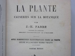 La plante - Causerie sur la botanique - J.-H. Fabre 1923