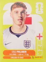 Panini FIFA World Cup ENG 12