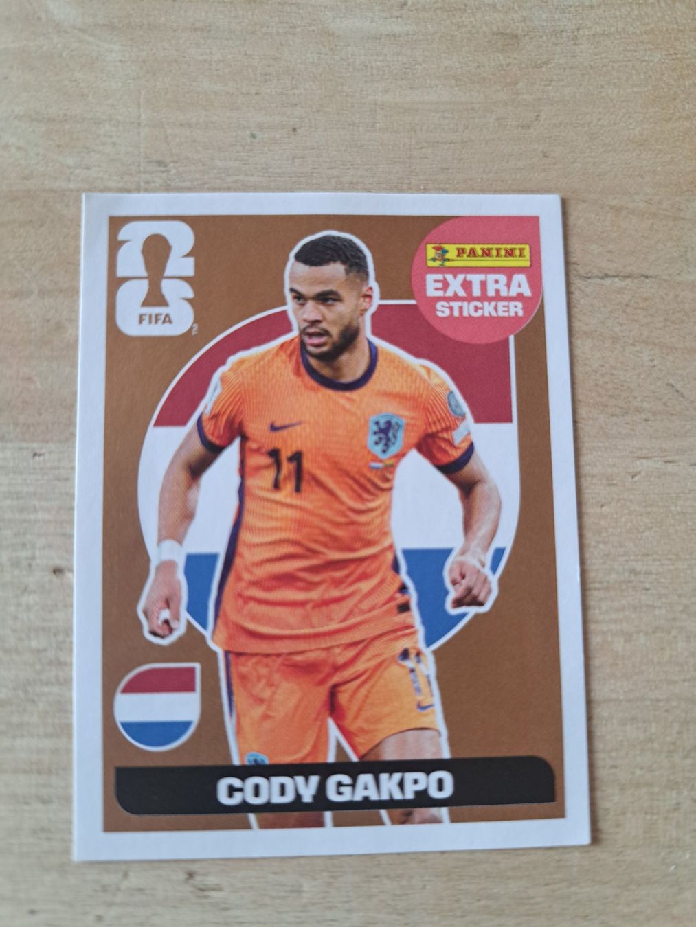 Panini Cartes à collectionner: Panini Extrasticker – D'occasion à Wangenried par TaMaHo16