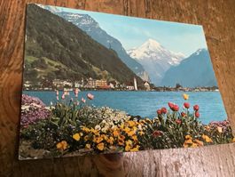 Flüelen am Viewadstättersee