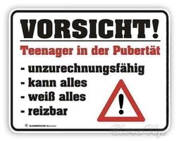 VORSICHT! TEENAGER IN... - Blechschild