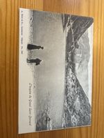 Carte Postale Ancienne: Hospice du Grand Saint-Bernard, Laus