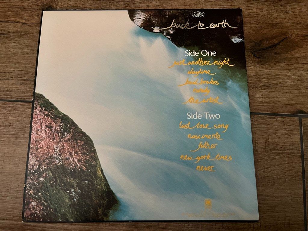 Dischi in vinile: Cat Stevens – Back To Earth – Nuovo (secondo la descrizione) da Uster venduto da mojorisin01 1