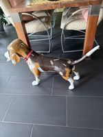 Basset Hund Skulptur XXL Figur Kunst Popart Disneylook Rar