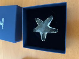 SWAROVSKI  Sammlung Auflösung  SEESTERN