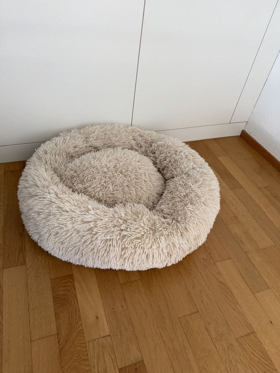 Cucce & Letti: Grosses Hunde Set – Usato da Reiden venduto da fashion_2021 3