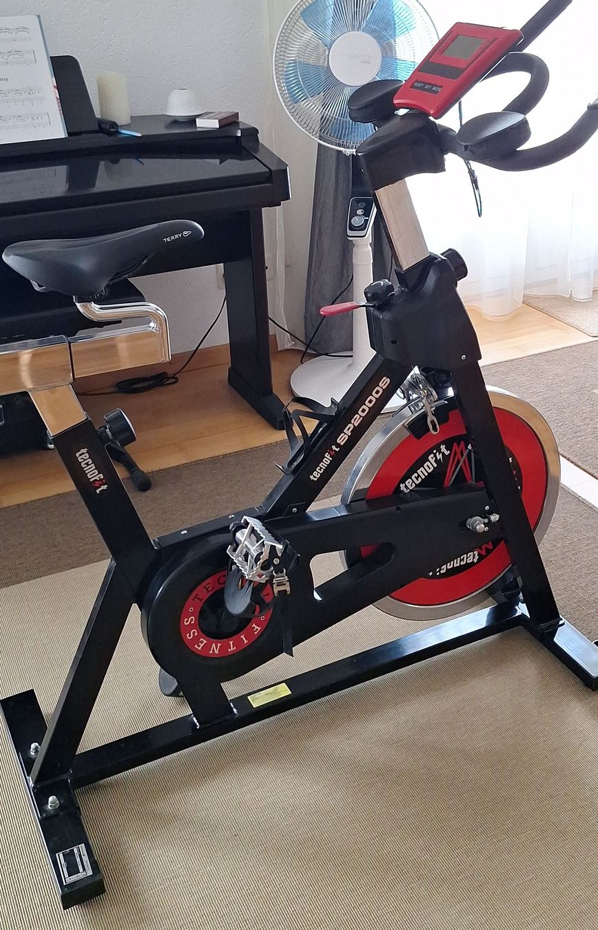 Rouets anciens: Tecnofit Sp2000 Spinning Rad – D'occasion à Uster par PercysMom