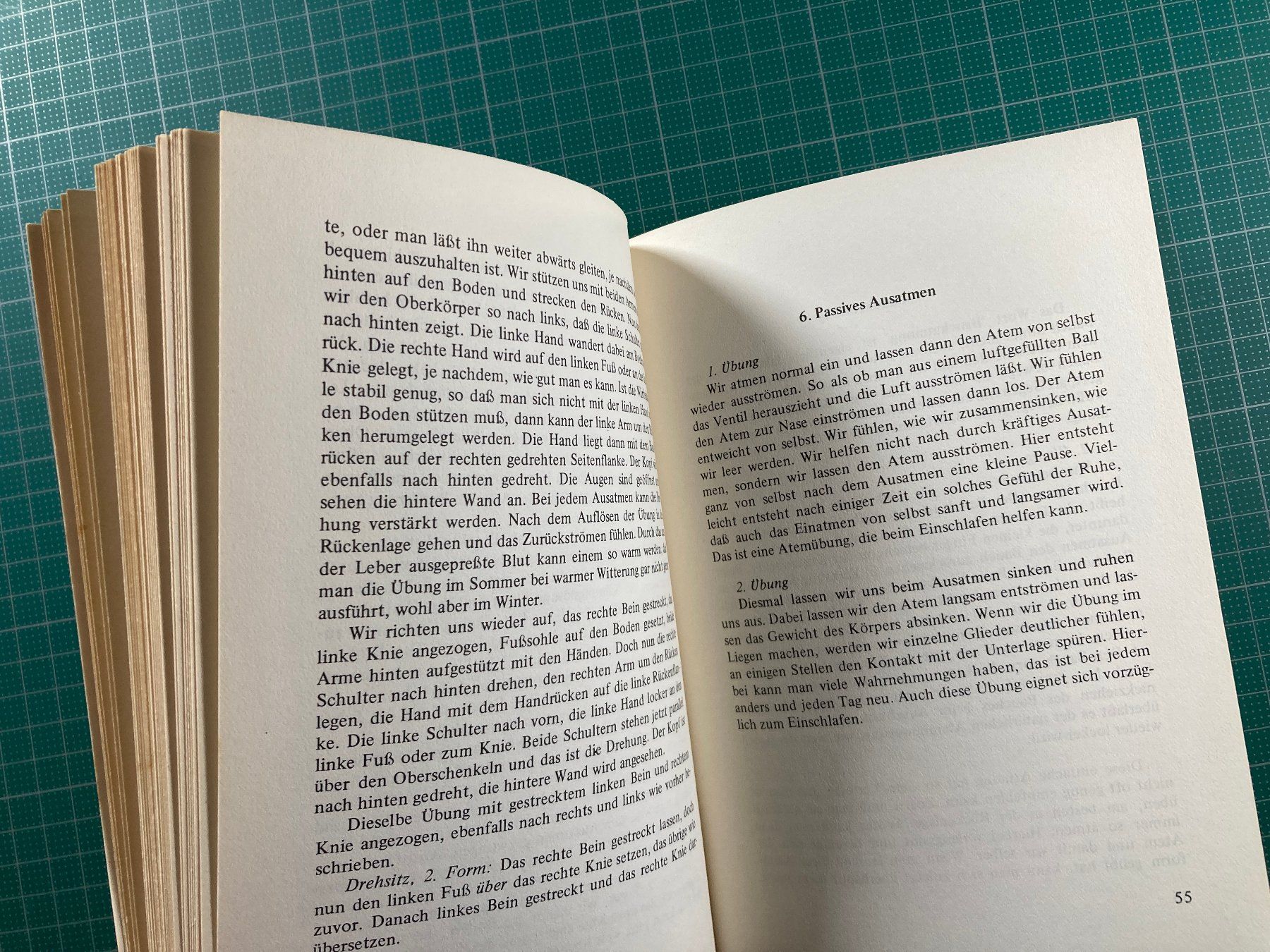 Libri: Annamaria Wadulla: Bewusst Atmen - Besser Leben – Usato da Lenzburg venduto da fh1 6