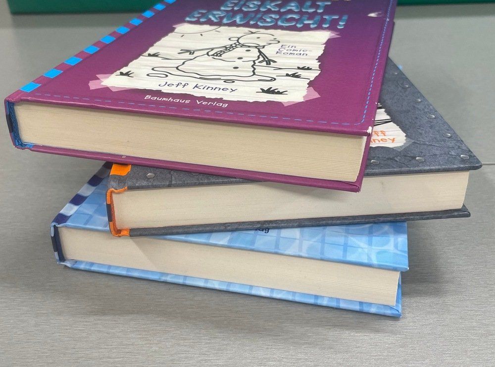 Libri: 3 x Gregs Tagebuch Bände 13, 14, 15 – Usato da Sirnach venduto da sagrotin 2