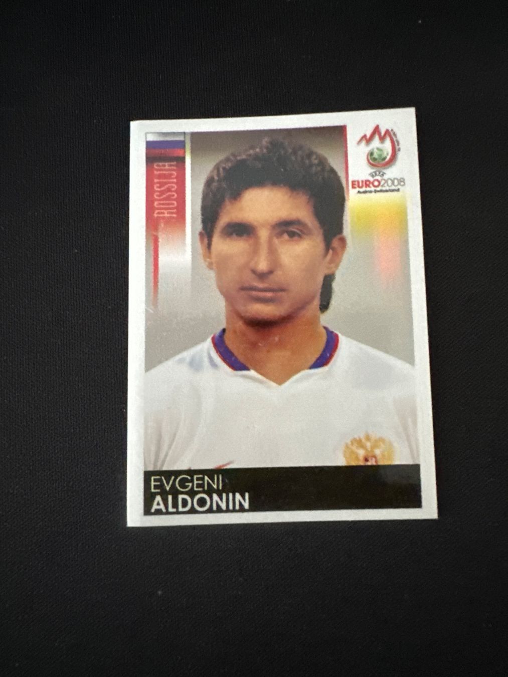 Panini Carte collezionabili: Panini UEFA EM 2008 Sticker - Nr. 451 – Usato da Sulz AG venduto da DealWerk