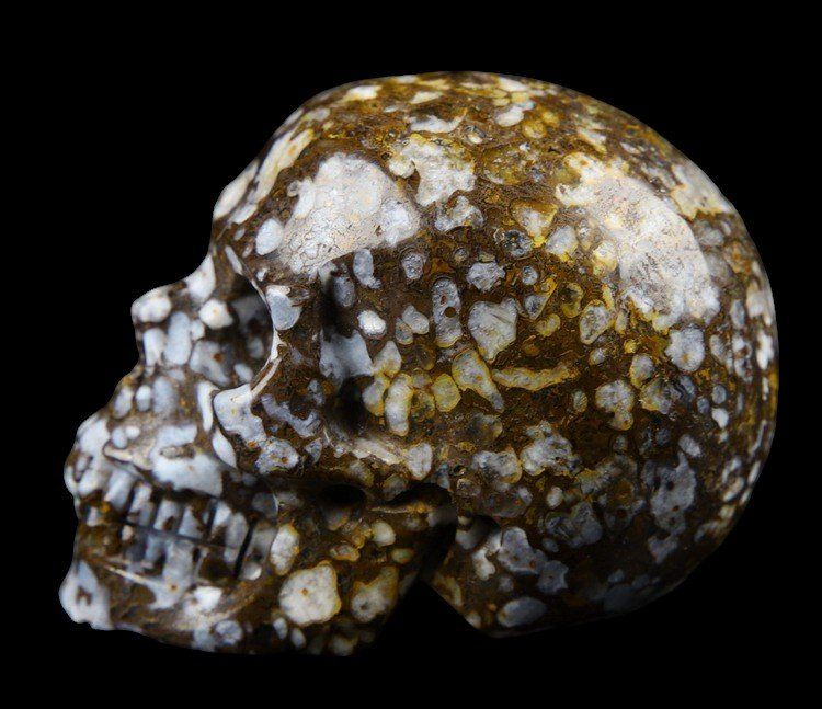 Mineralien & Heilsteine: Coffee Opal Skull – Gebraucht aus Walenstadt von vkt_qc8d 3