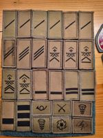 Schweizer Armee Abzeichen  Badge