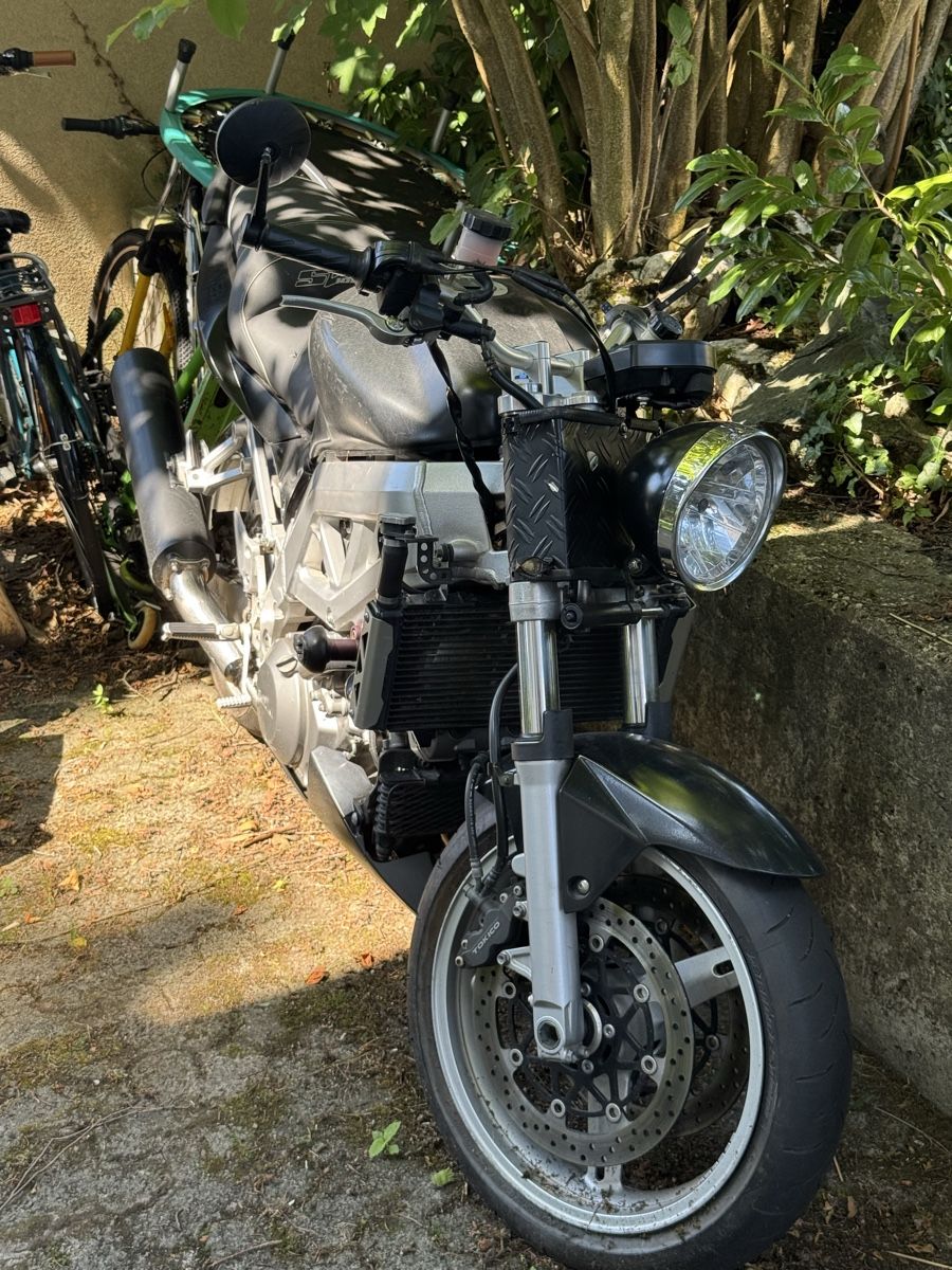 Suzuki Strasse: Suzuki SV1000 S – Gebraucht aus Luzern von Zadorozhnii 3