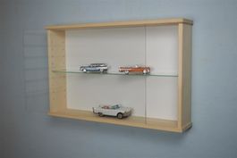 Vitrine für allerlei Modellsammler