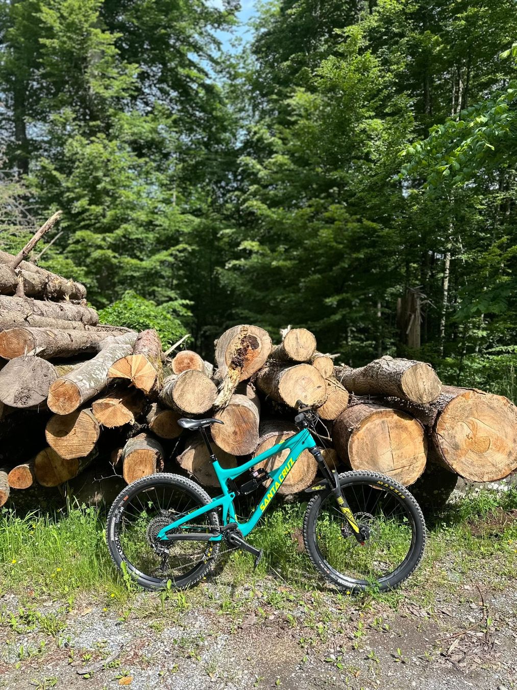 Santa Cruz Biciclette: Santa cruz nomad cc – Usato da Zürich venduto da joa_zs87
