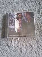 LENNY KRAVITZ    ARE YOU GONNA GO MY WAY      CD