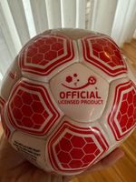 Offiziell UEFA EURO 2016 Adidas Ball,NEU,muss gepumpt werden