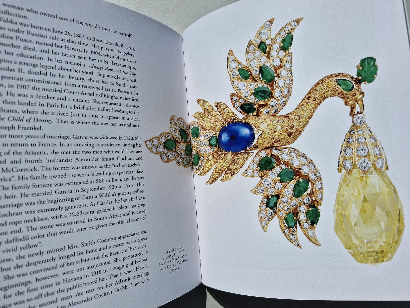 Libri: Van Cleef & Arpels Schatzbuch "All About Diamonds" neuwertig – Usato da Zürich venduto da Secretariat11