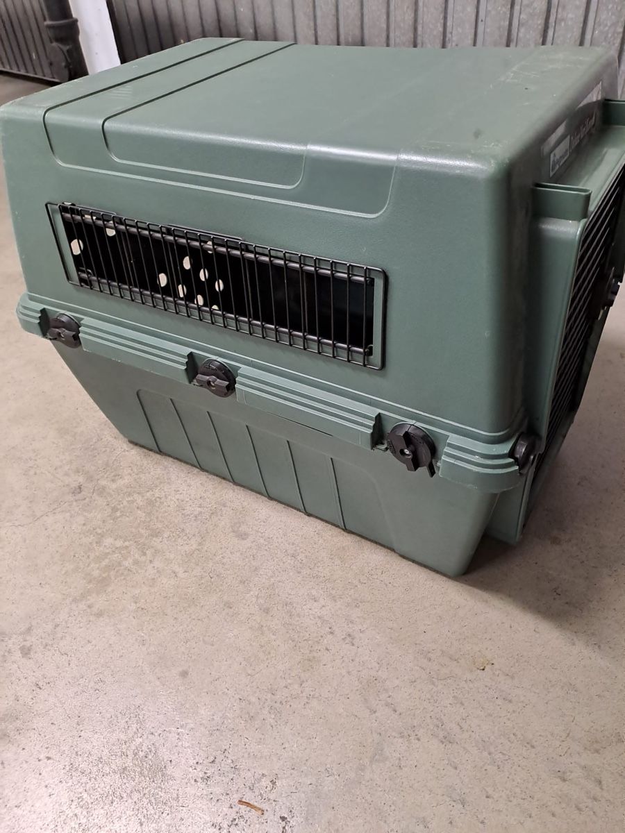 Gabbie, trasporto & Sicurezza: caisse pour animal – Usato da Lausanne venduto da ebove 3