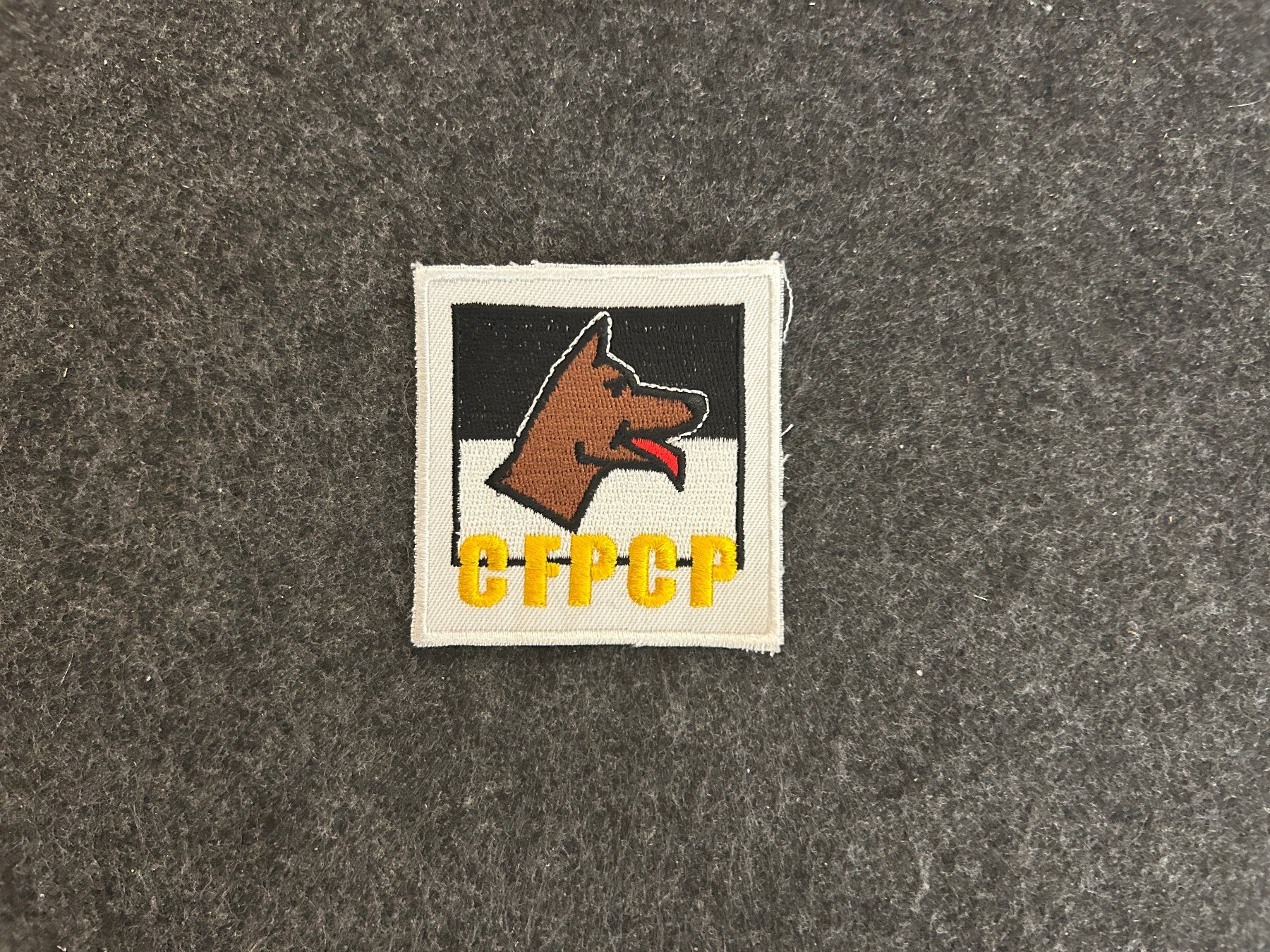 Plaquettes & Badges: Patch, FR, CFPCP Hundeführer – D'occasion à Berikon par DGC-1995