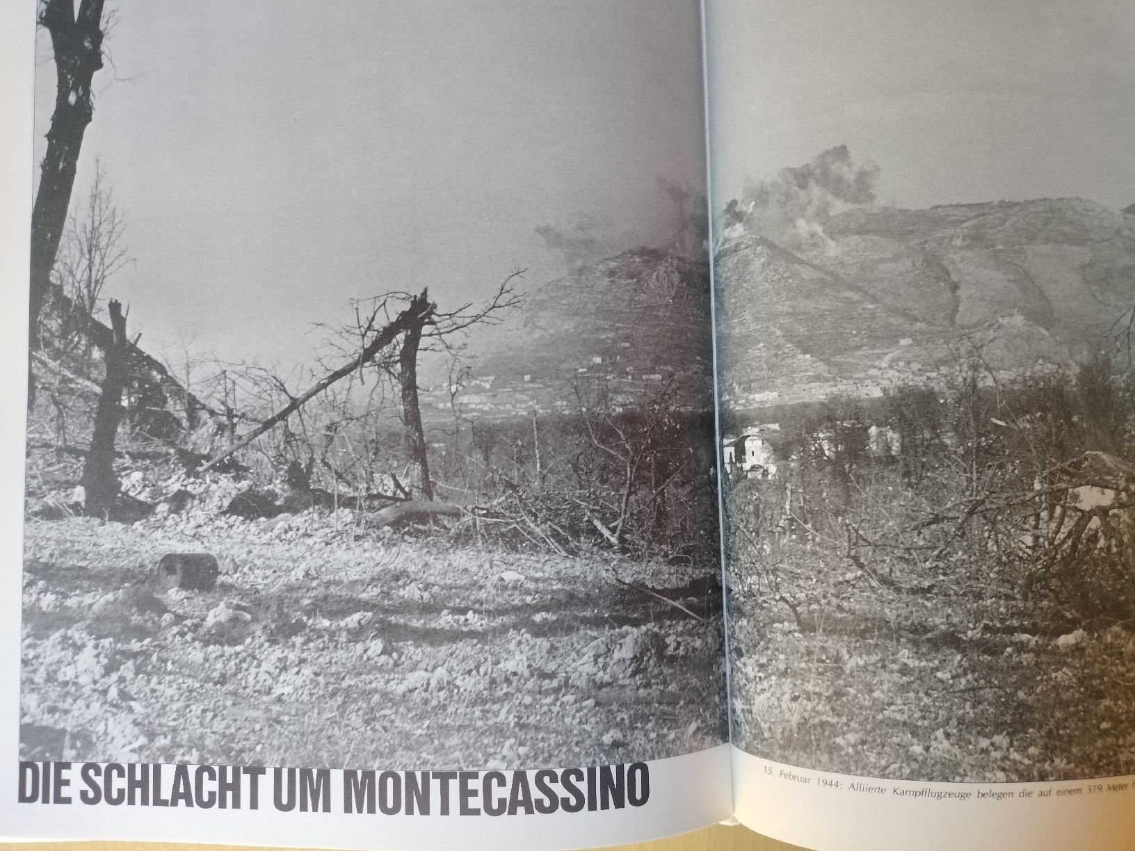 Libri: Der Feldzug in Italien – Usato da Schwanden Sigrisw venduto da pho_2mc9 8
