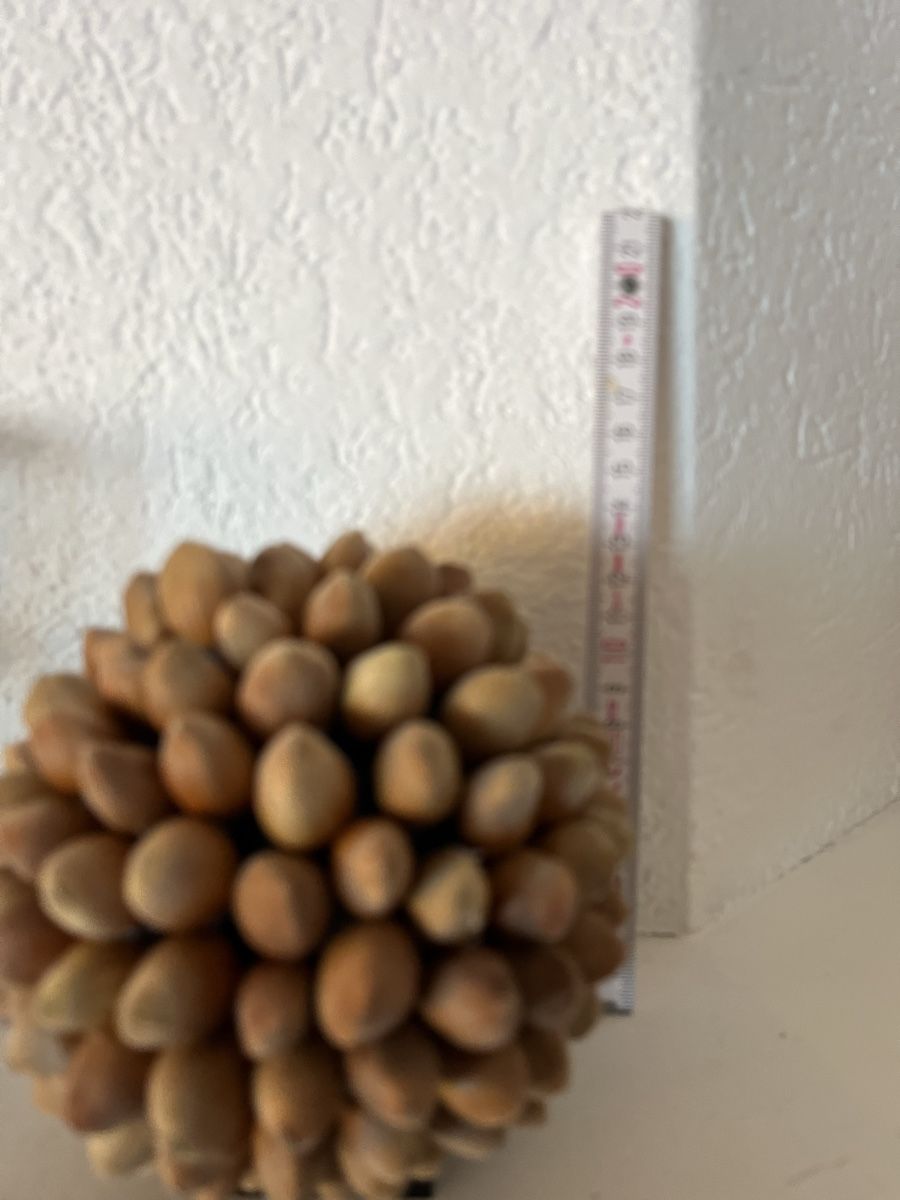 Tutte le decorazioni: Boule décorative – Usato da Lausanne venduto da joltei 3