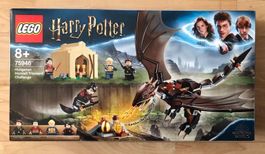 LEGO Harry Potter 75946 Das Trimagische Turnier NEU & OVP