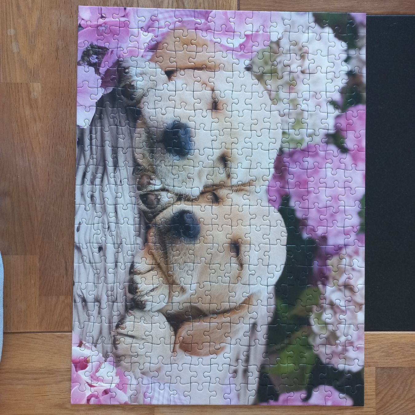 Ravensburger Puzzle: Puzzle Ravensburger 2× 300 pièces  – Nuovo (secondo la descrizione) da Dompierre FR venduto da fat_xth5 3