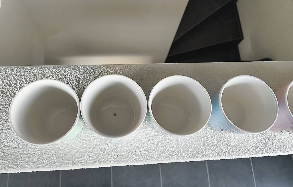 Verres: 8x Glacebecher / Gläschen mit Löffel  – D'occasion à Nänikon par Manta87 1