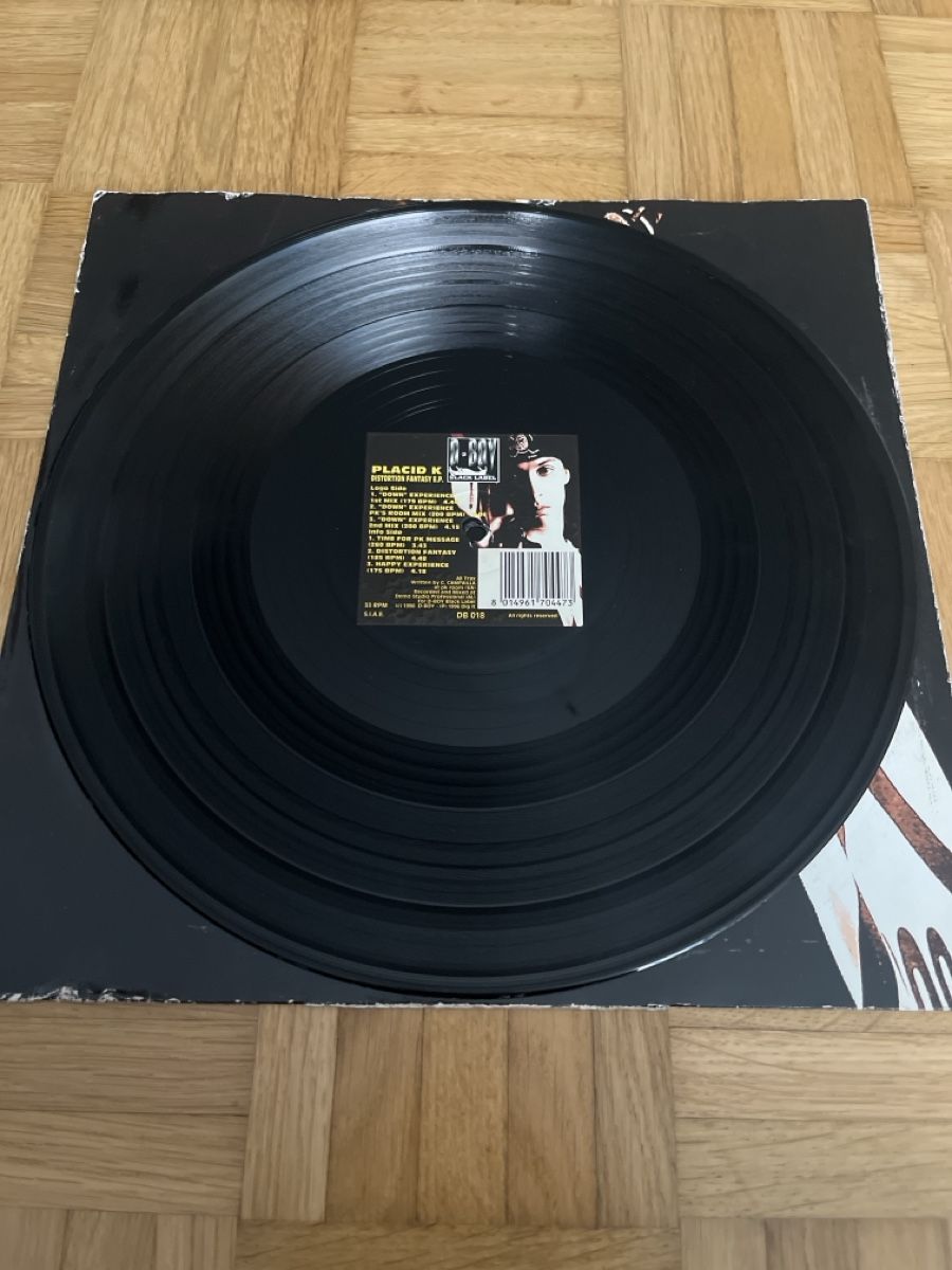 Dischi in vinile: Placid K Hardcore / Gabber Vinyl – Usato da Wangen b. Olten venduto da break72 2