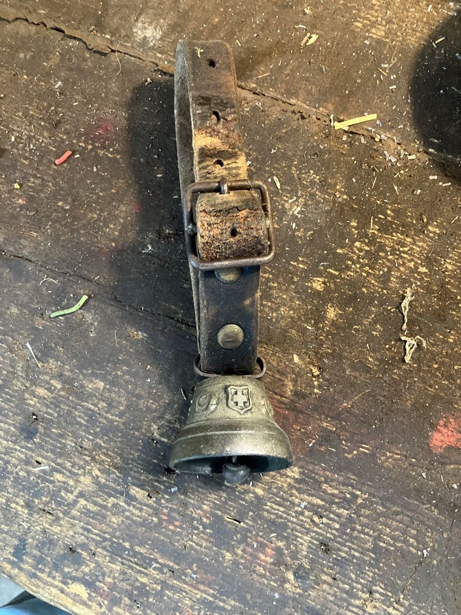 Cloches & sonnailles: Glocke  – D'occasion à Neudorf par Zlateh