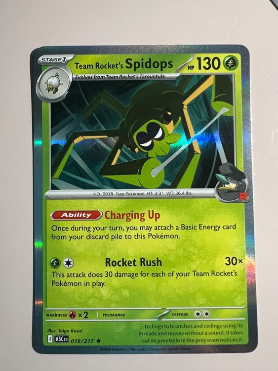 Pokemon Ascended Heroes Spidops 019/217 Holo (Gebraucht) in Appenzell ...