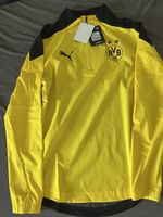 Jacket borrusia Dortmund 