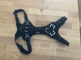 Grossenbacher Welpengeschirr Popp-It
